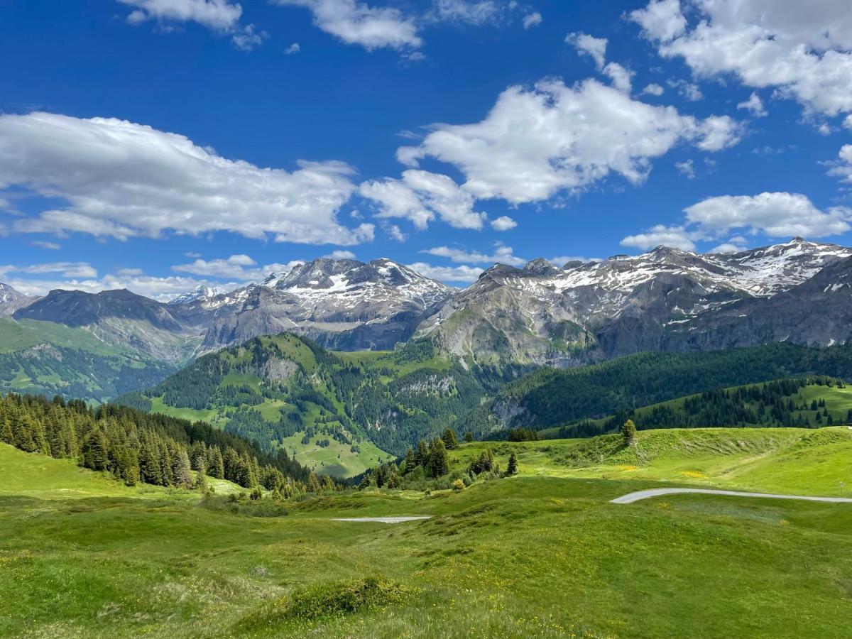 Apartment Residence Sonnegg - Reimers - Vogel Zweisimmen Eksteriør bilde