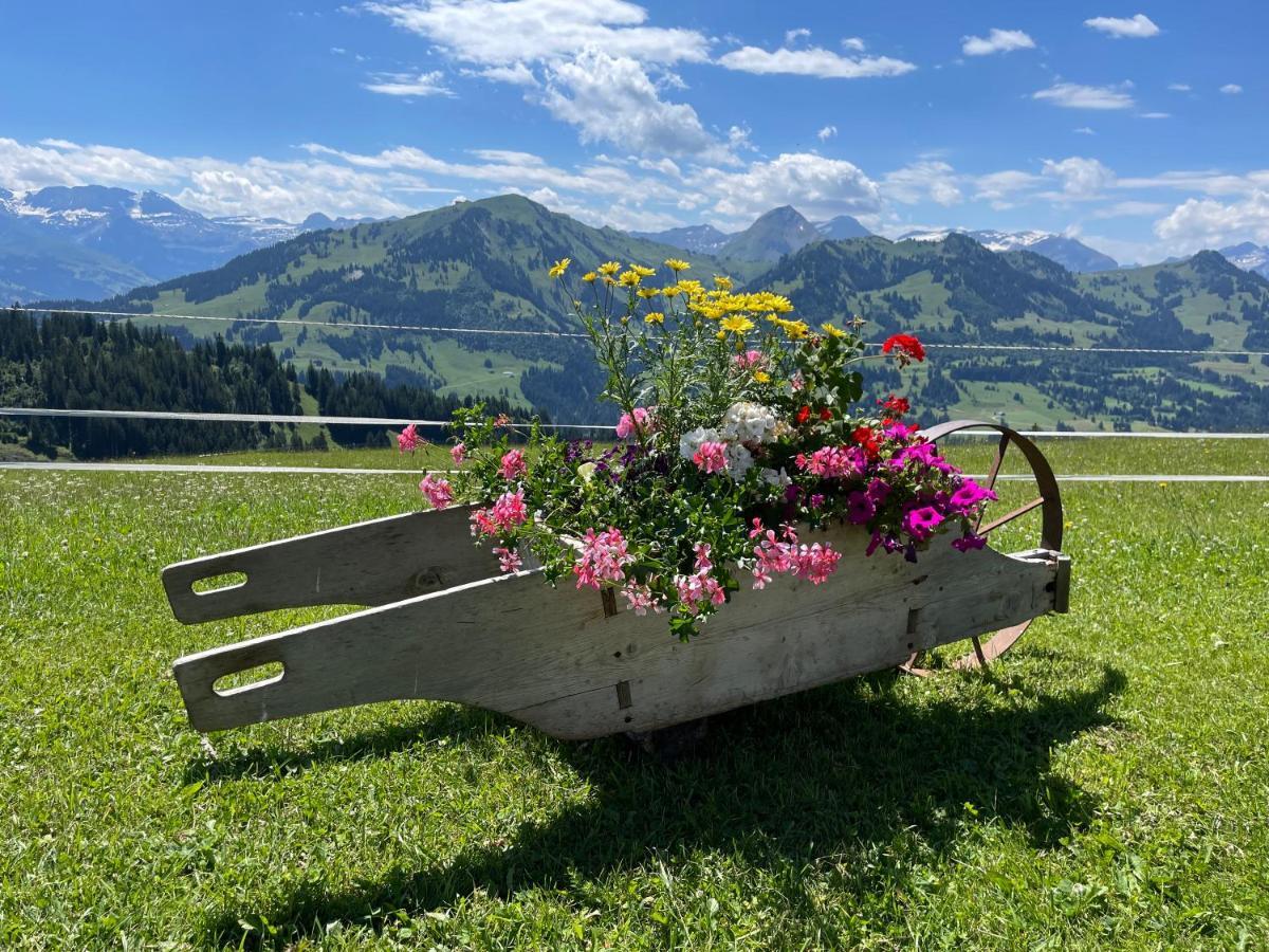 Apartment Residence Sonnegg - Reimers - Vogel Zweisimmen Eksteriør bilde